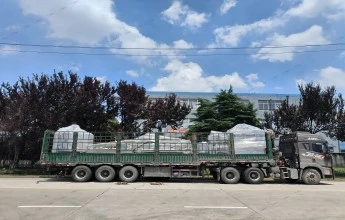 Completato l'aggiornamento e il rinnovamento della linea di produzione del pomodoro della Mongoli...
