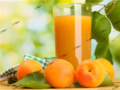 Linea di elaborazione dell'albicocca