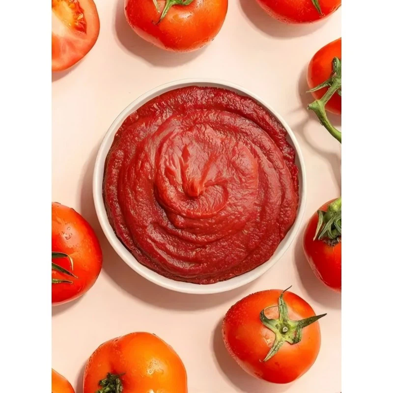 Tomato Paste factory